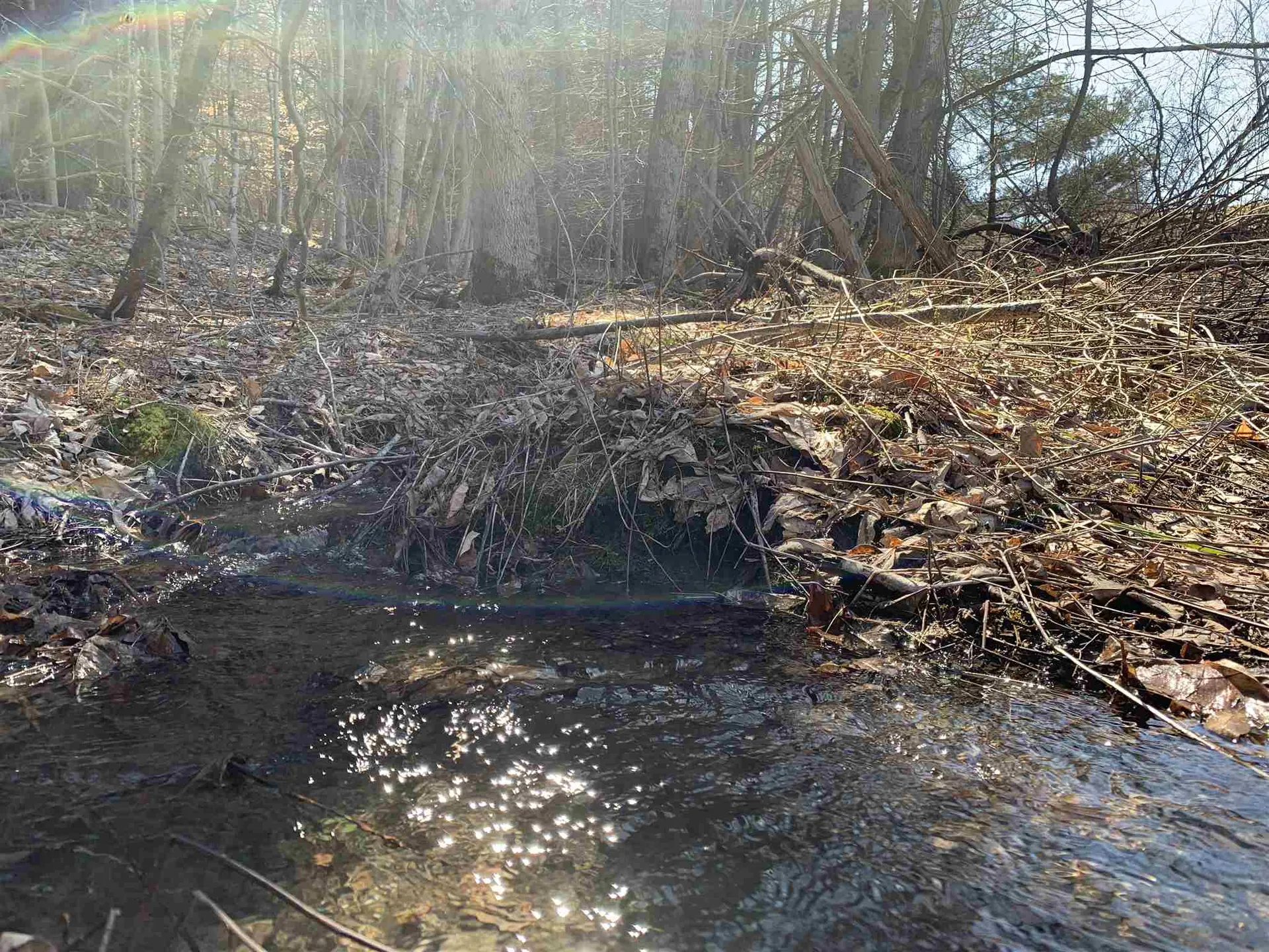 76 Grout Road Hartland VT 05048