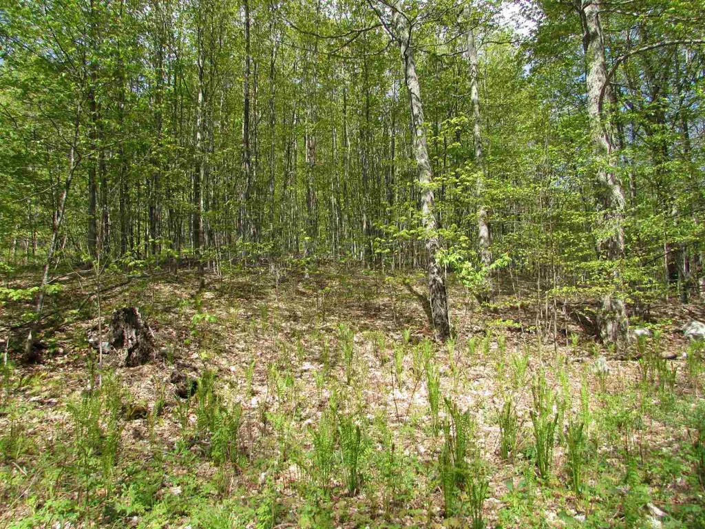 455 Valliant Place Corinth VT 05039