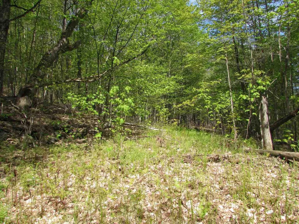 455 Valliant Place Corinth VT 05039