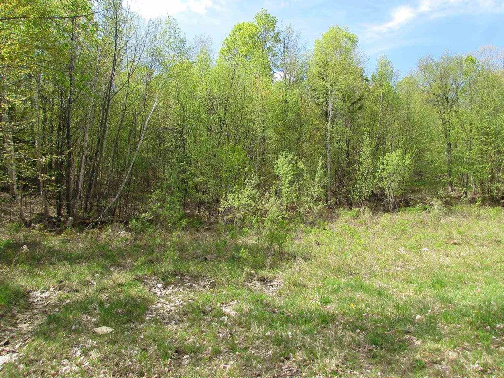 455 Valliant Place Corinth VT 05039