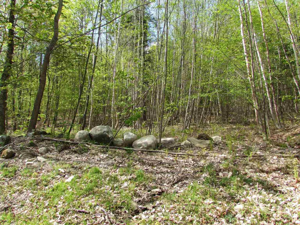 455 Valliant Place Corinth VT 05039