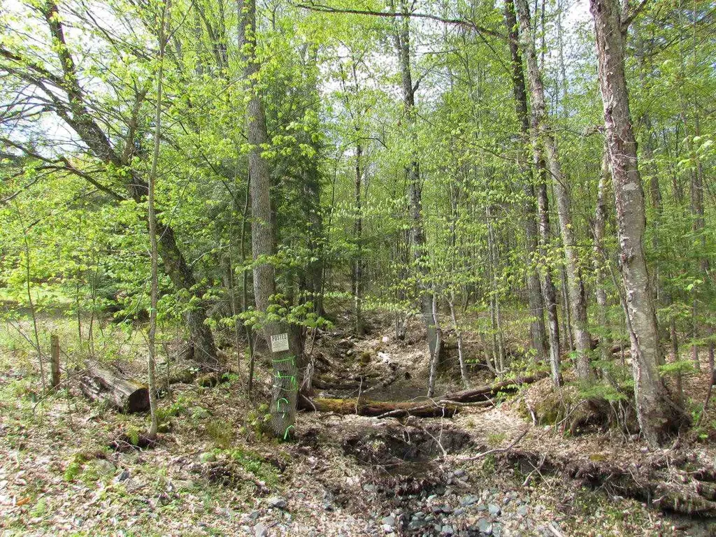 455 Valliant Place Corinth VT 05039