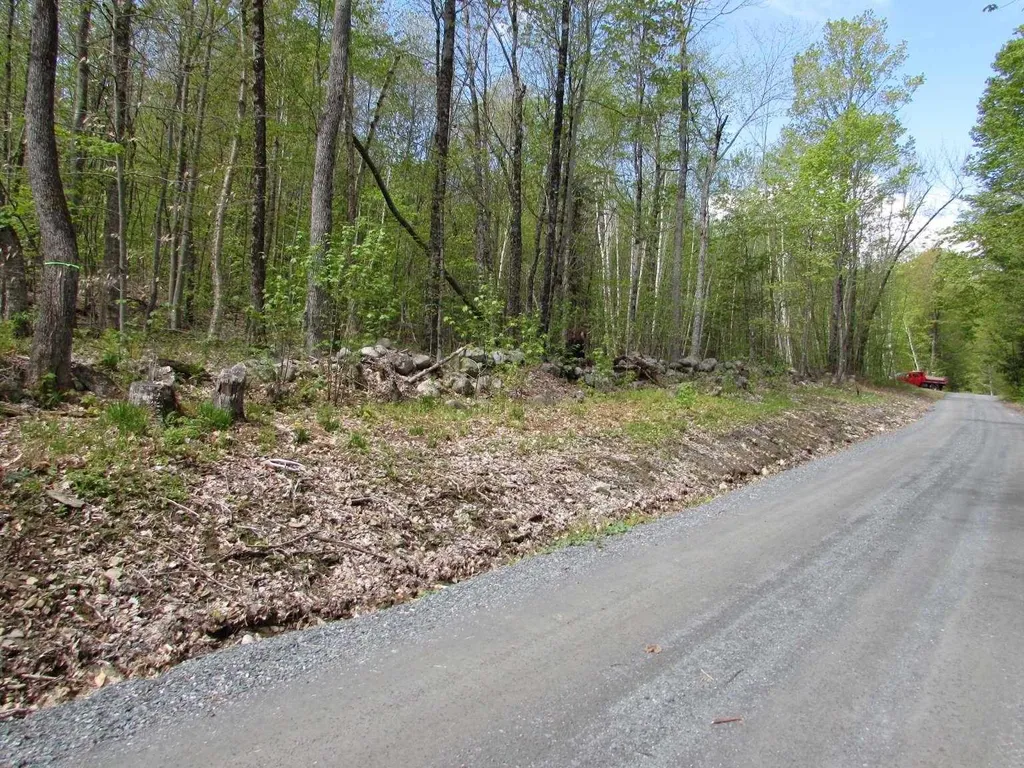 455 Valliant Place Corinth VT 05039