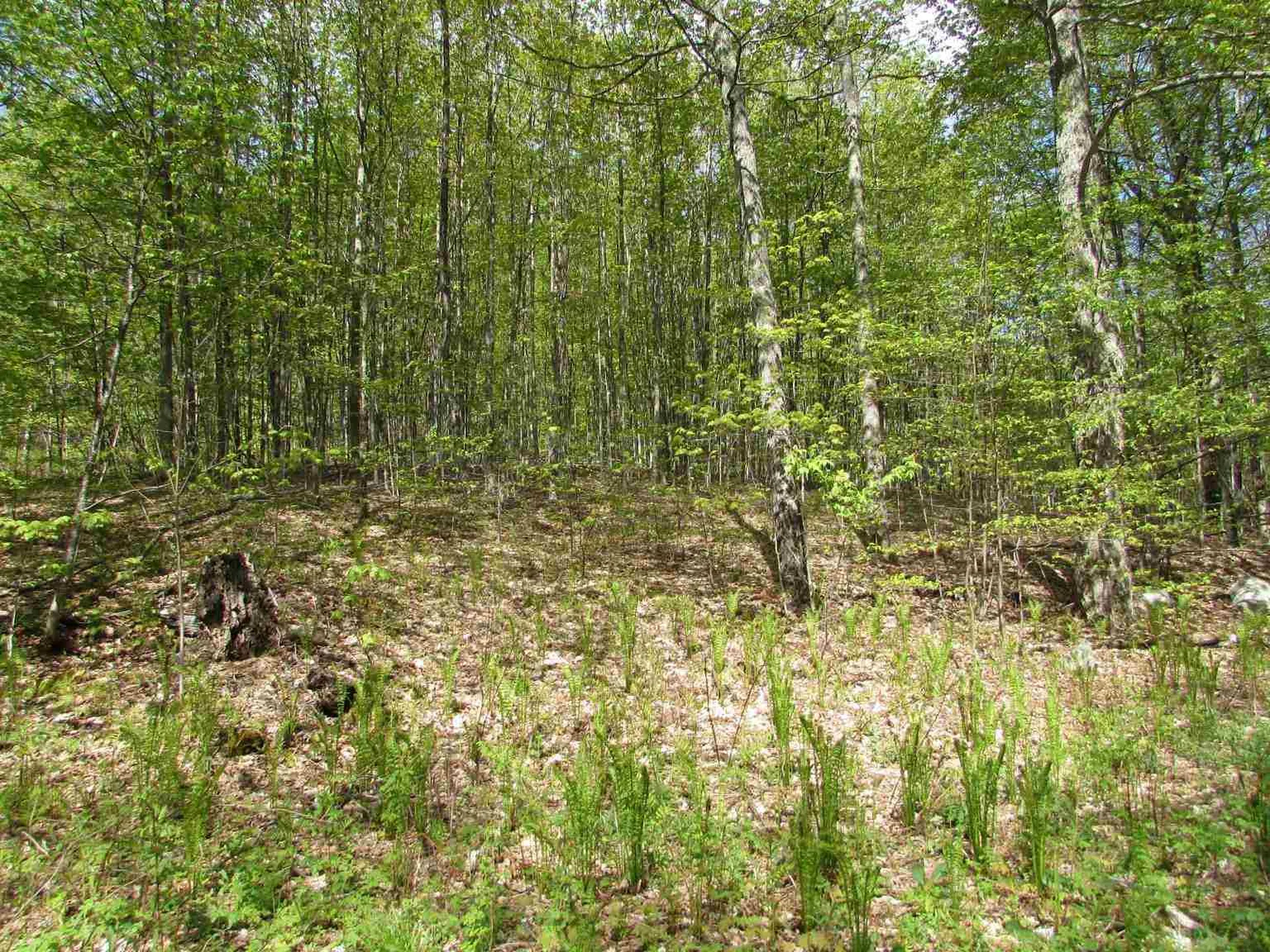 455 Valliant Place Corinth VT 05039