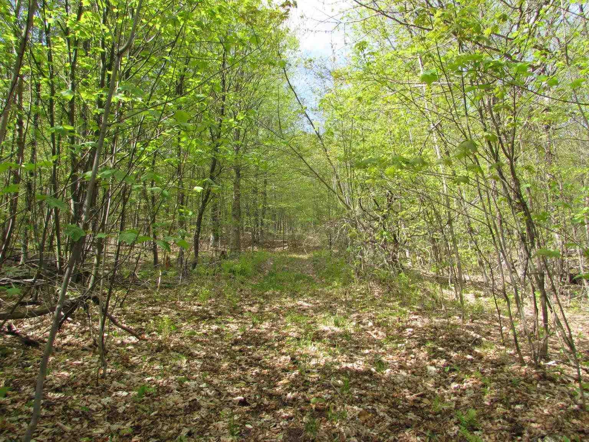 455 Valliant Place Corinth VT 05039