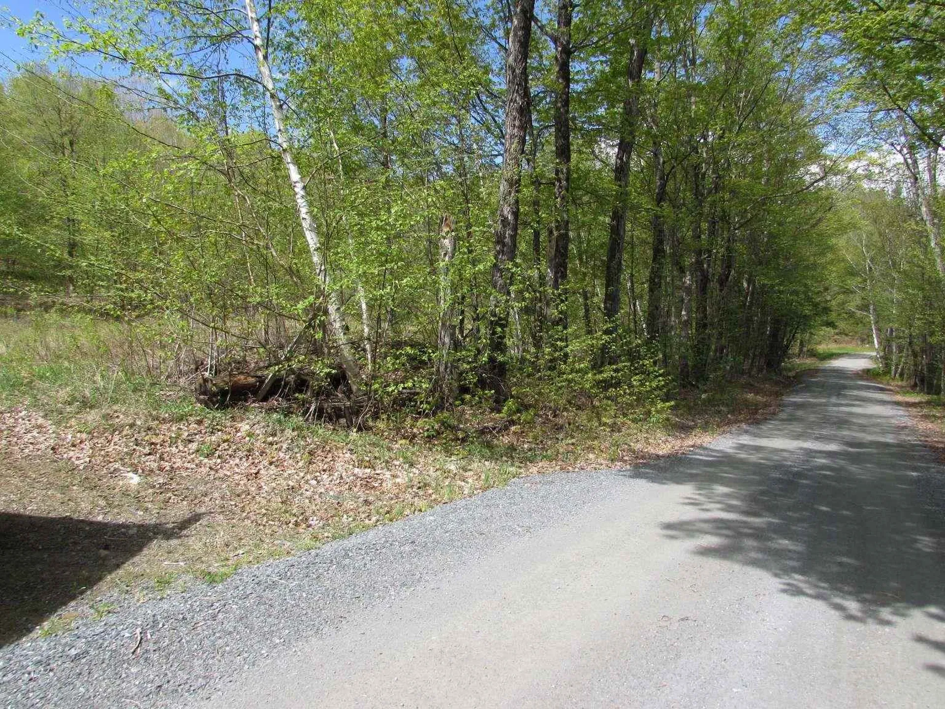 455 Valliant Place Corinth VT 05039