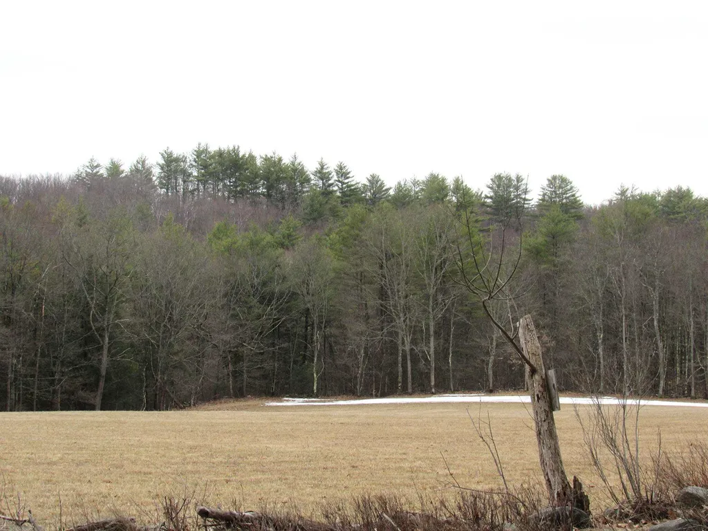 127 Bellows Falls Road Putney VT 05346