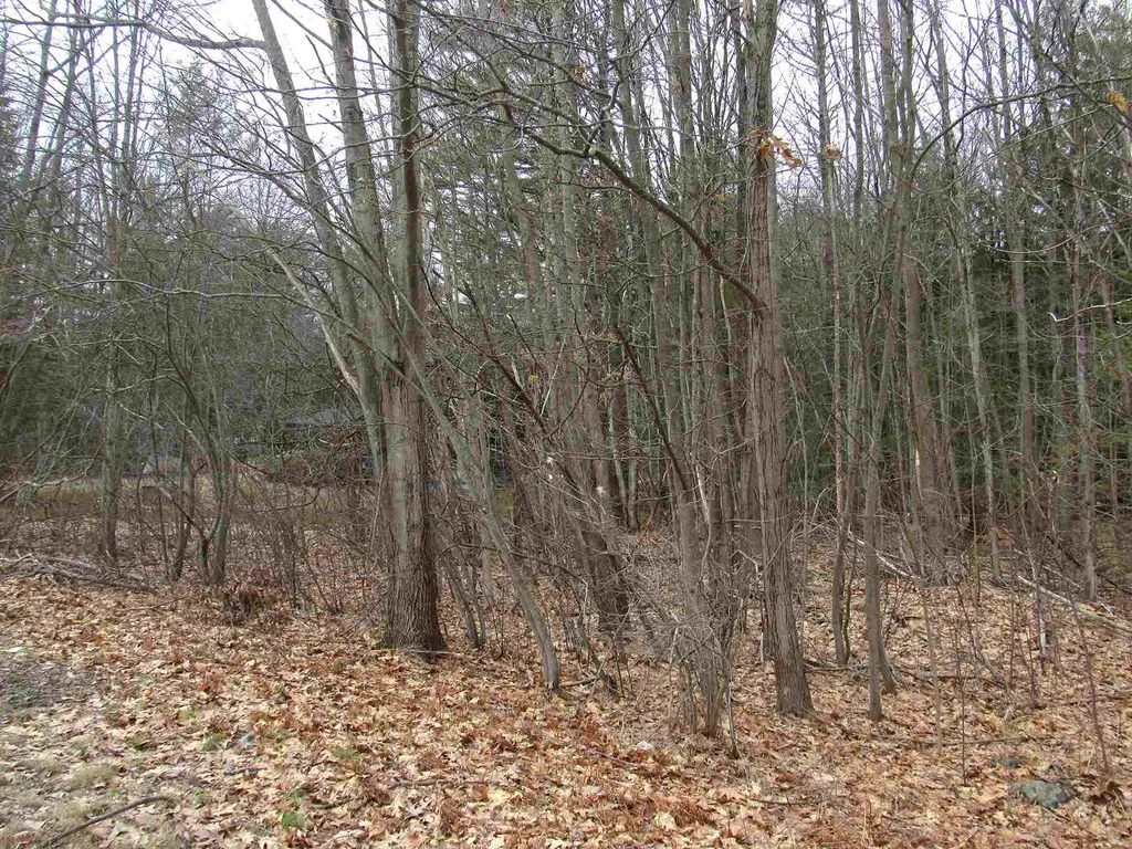 127 Bellows Falls Road Putney VT 05346