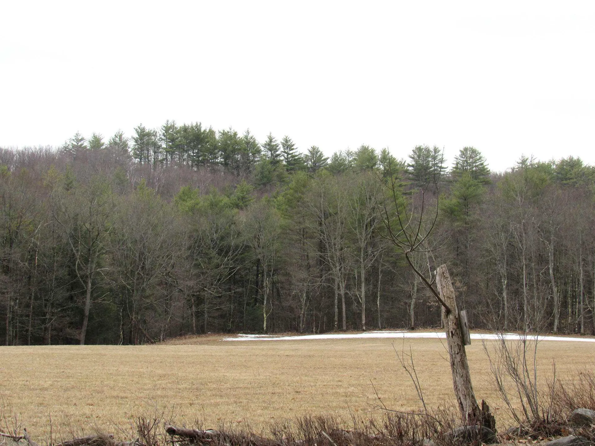 127 Bellows Falls Road Putney VT 05346
