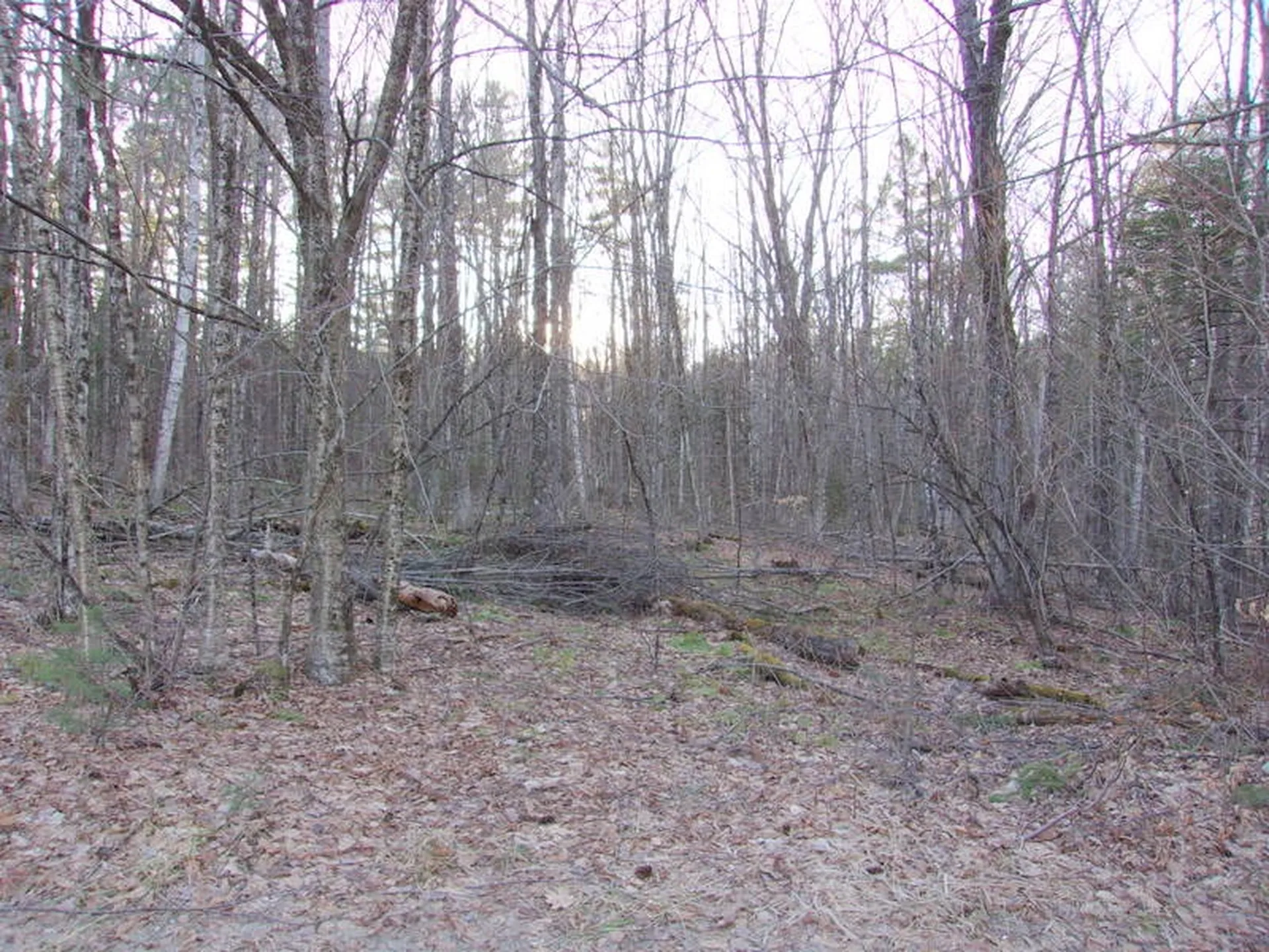Mont View Drive Haverhill NH 03785
