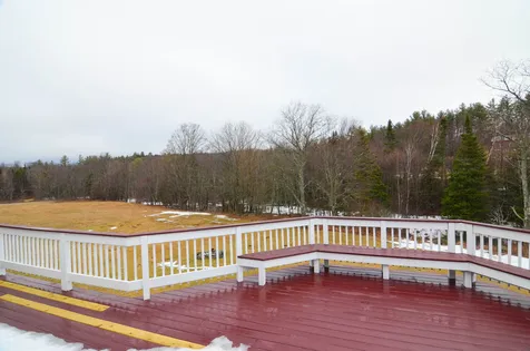 4163 Route 155 Mount Holly VT 05758