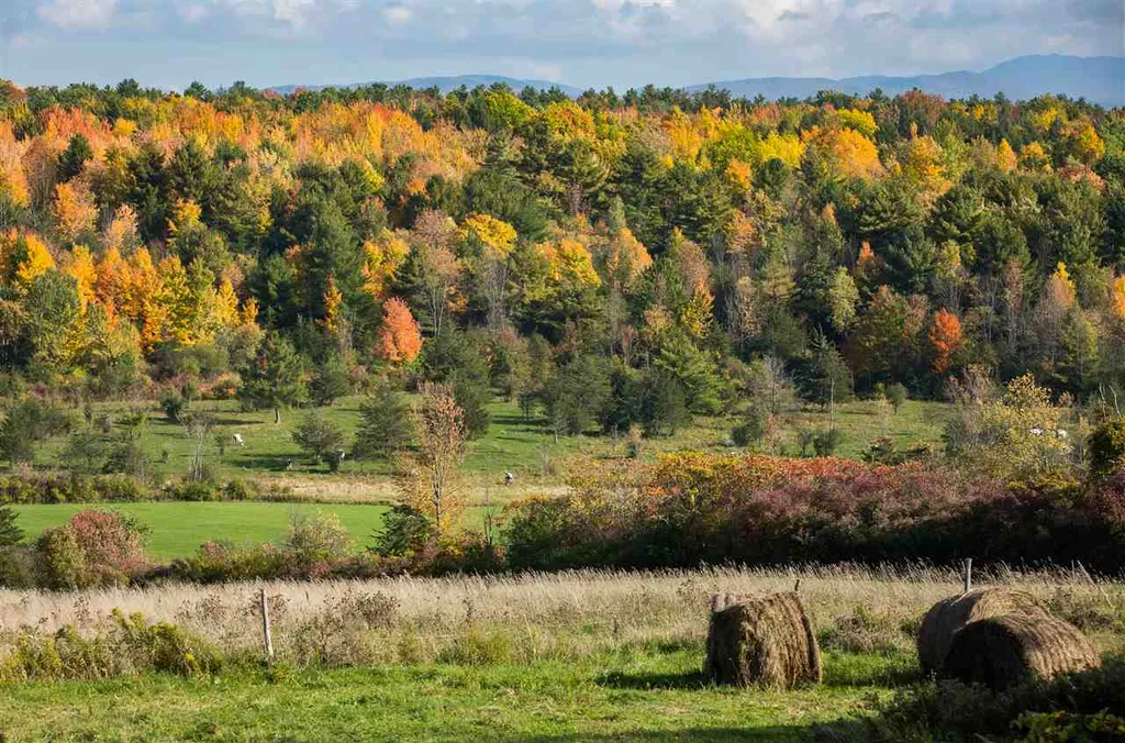 1555 Spear Street Charlotte VT 05445