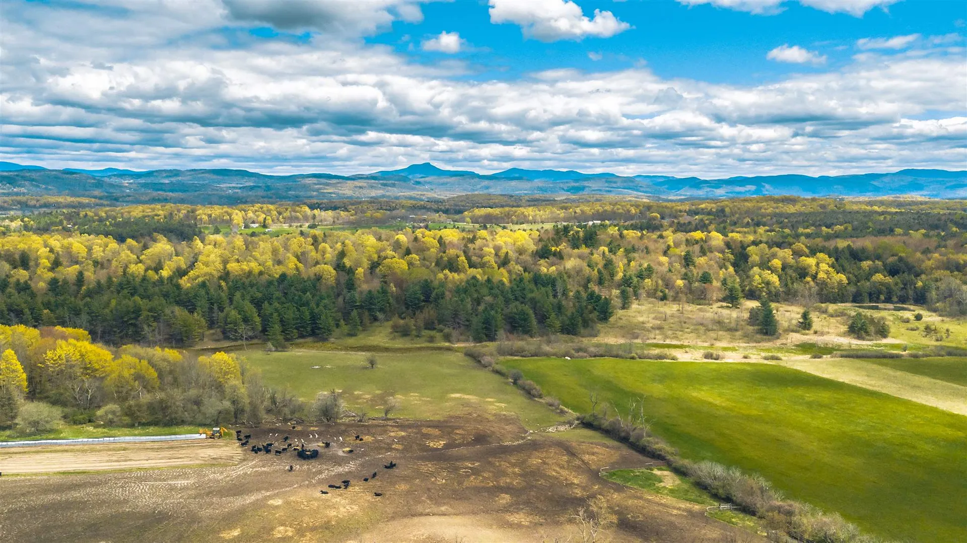 1555 Spear Street Charlotte VT 05445