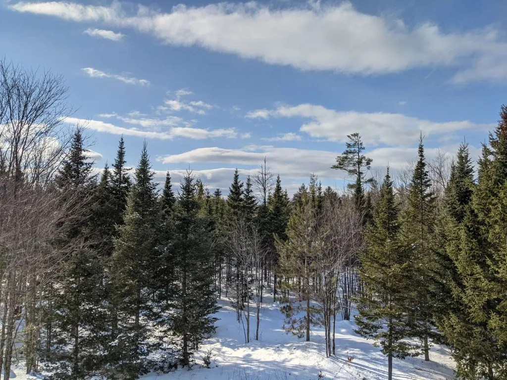 48 Adams Way Middleton NH 03887