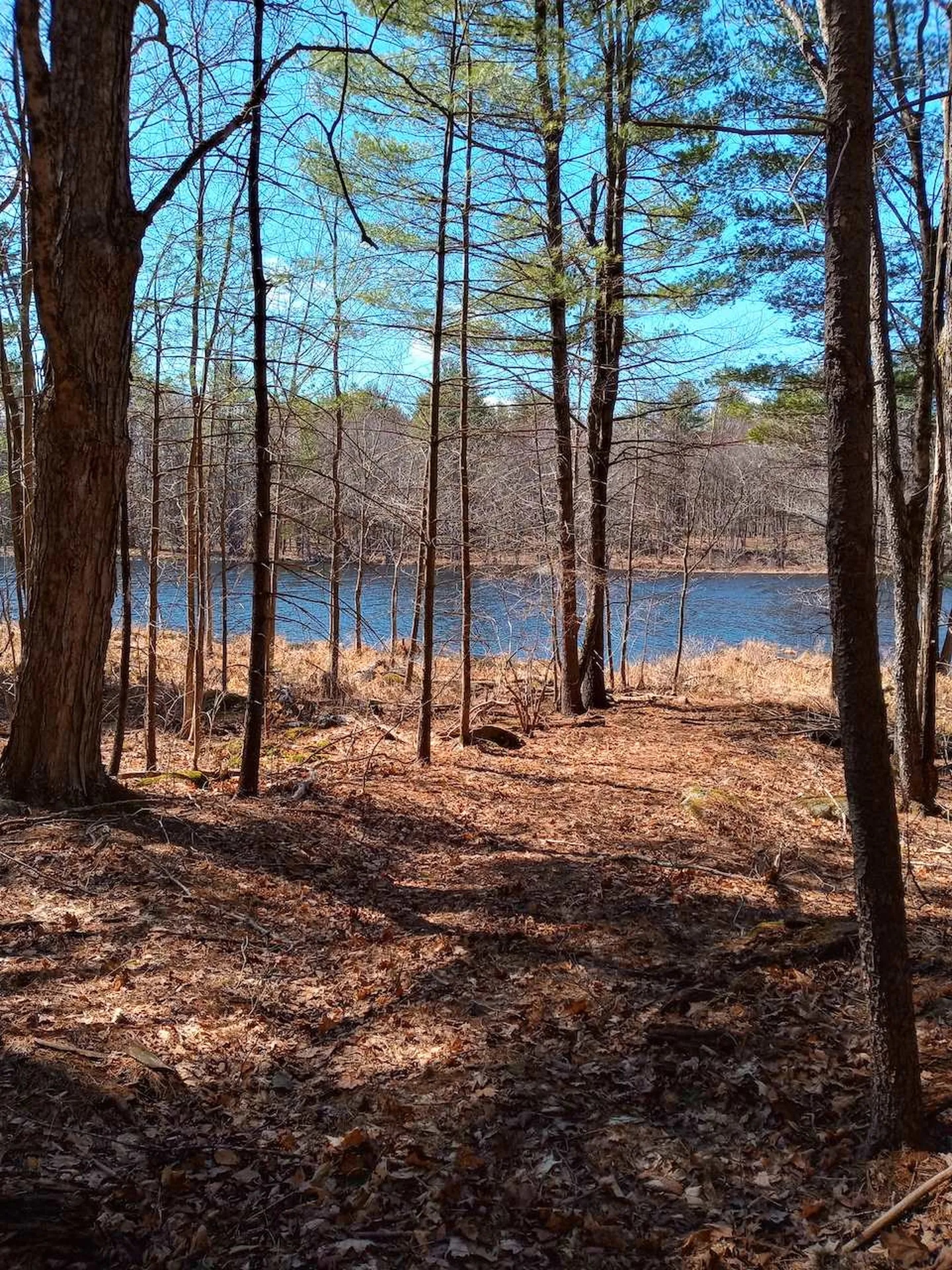 340 Old Chesterfield Road Winchester NH 03470