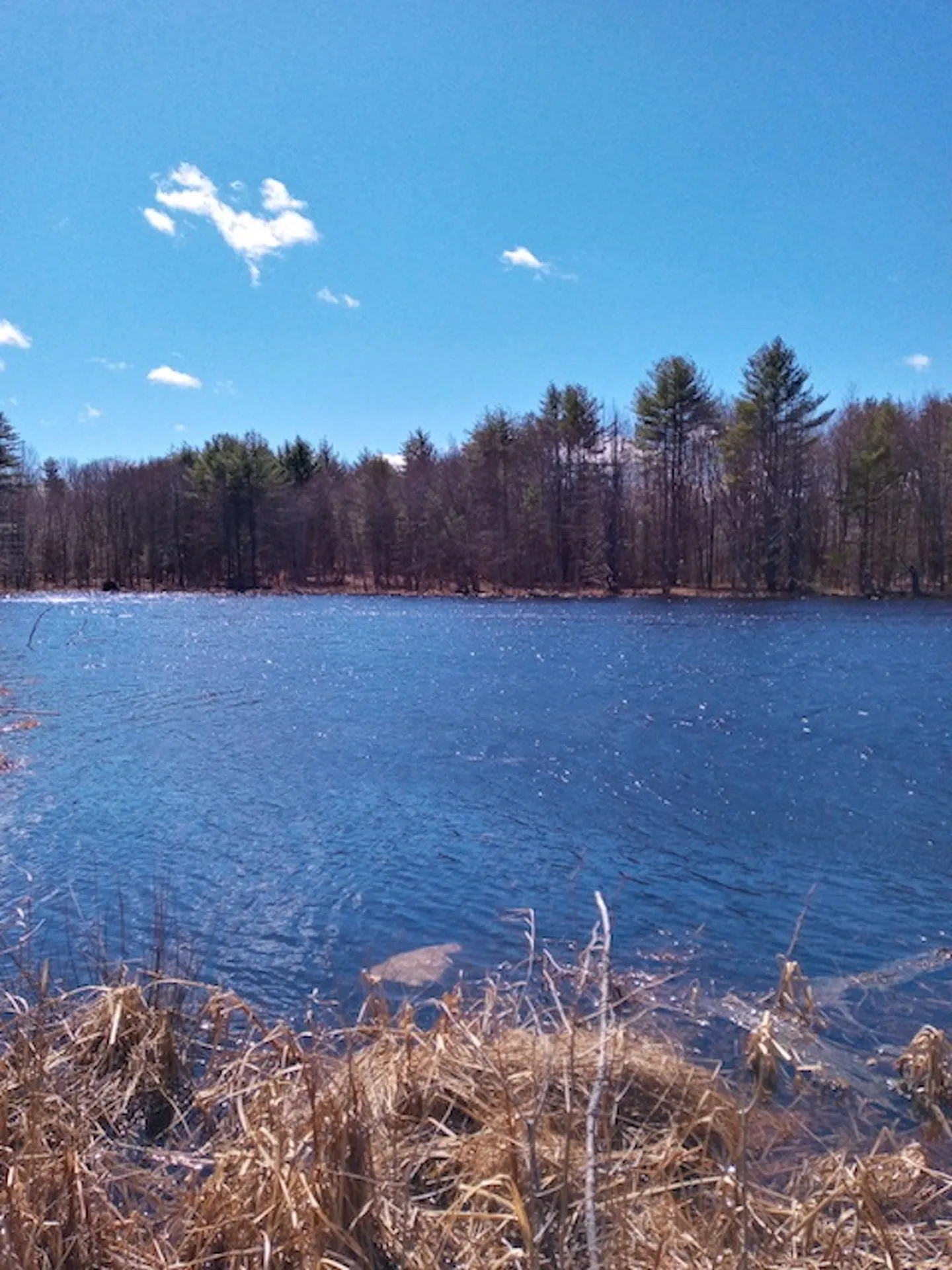 340 Old Chesterfield Road Winchester NH 03470
