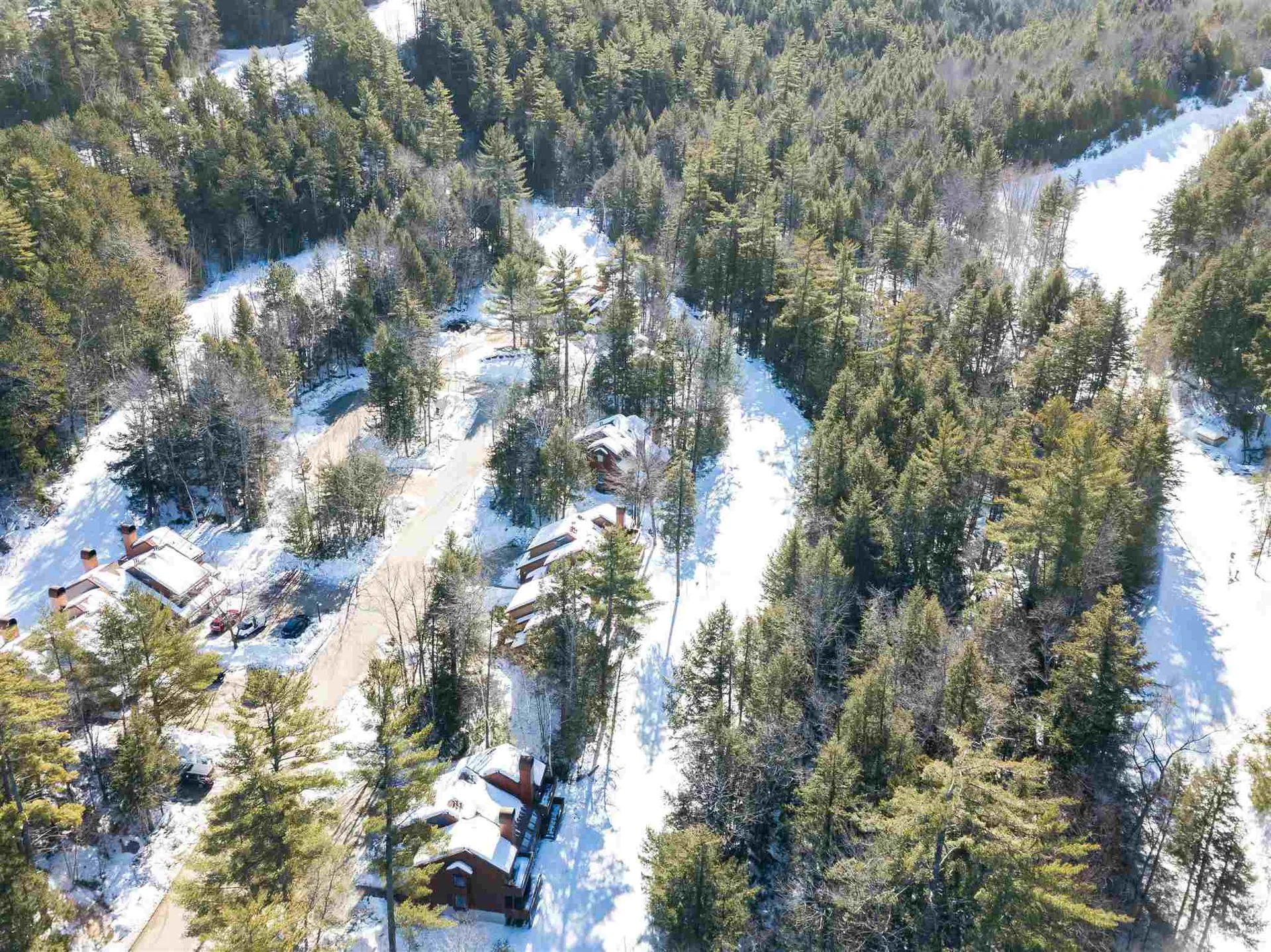 39 Mountainside At Attitash Road Bartlett NH 03812
