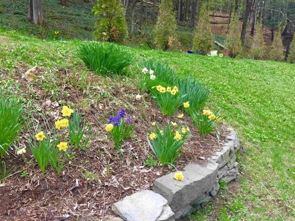 1880 South Road Woodstock VT 05091