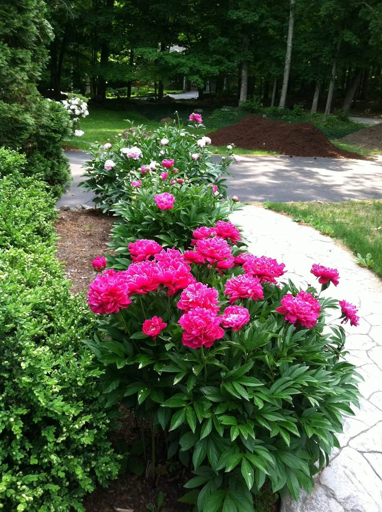 1 Tirrell Place Durham NH 03824
