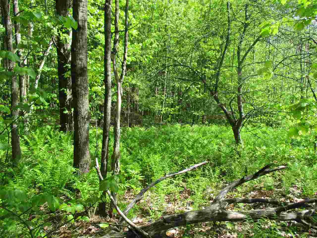 0 Brink Hill Road Bethel VT 05032