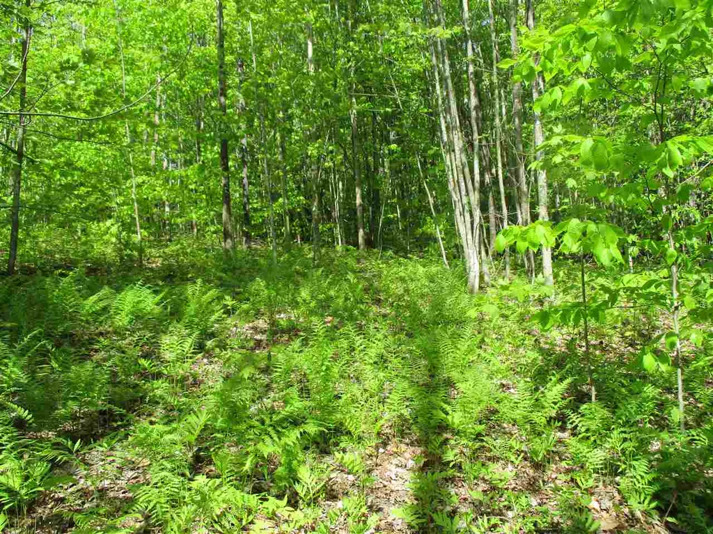 0 Brink Hill Road Bethel VT 05032