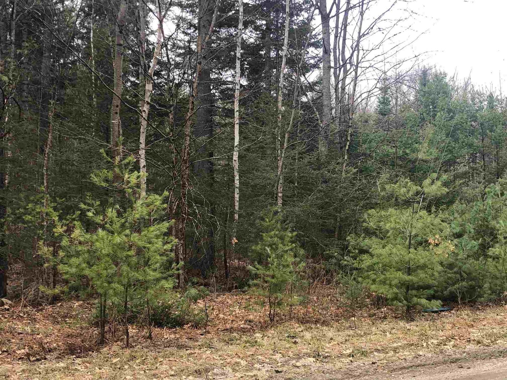 Valley Road Haverhill NH 03785