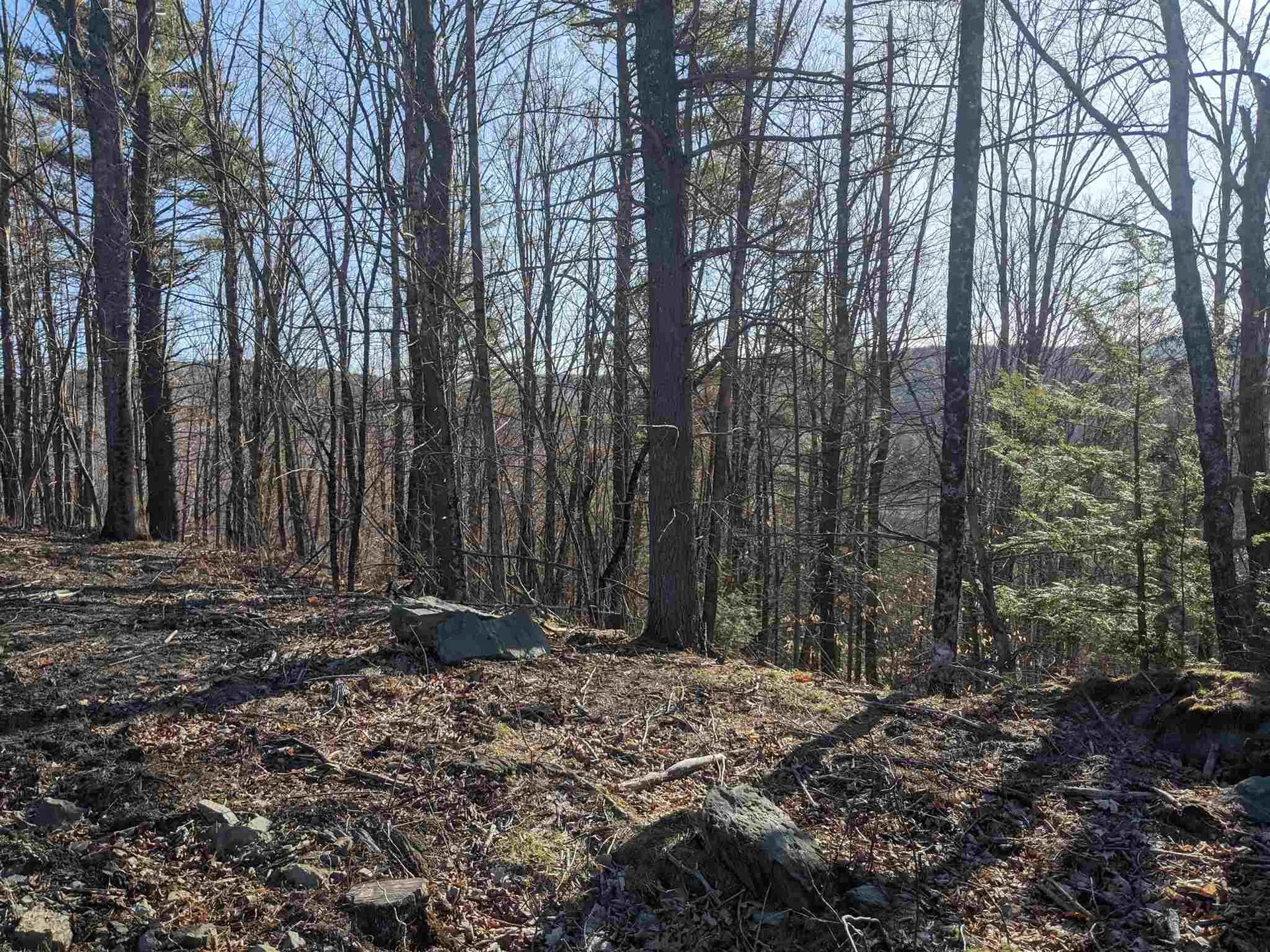 21 Baynes Road Plainfield NH 03770