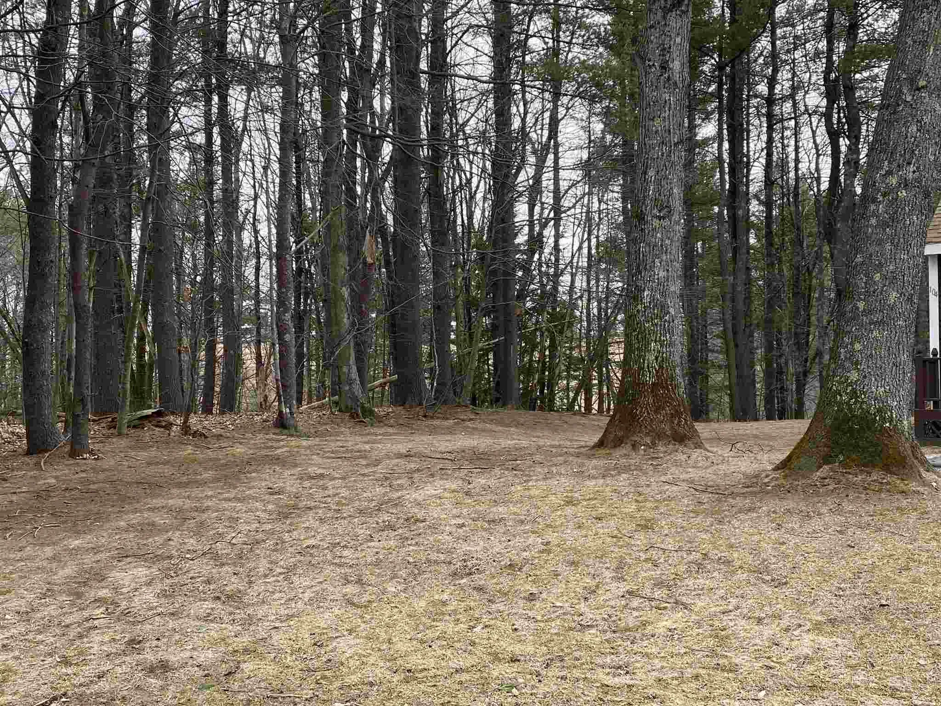 104 Bellamy Woods Common Dover NH 03820