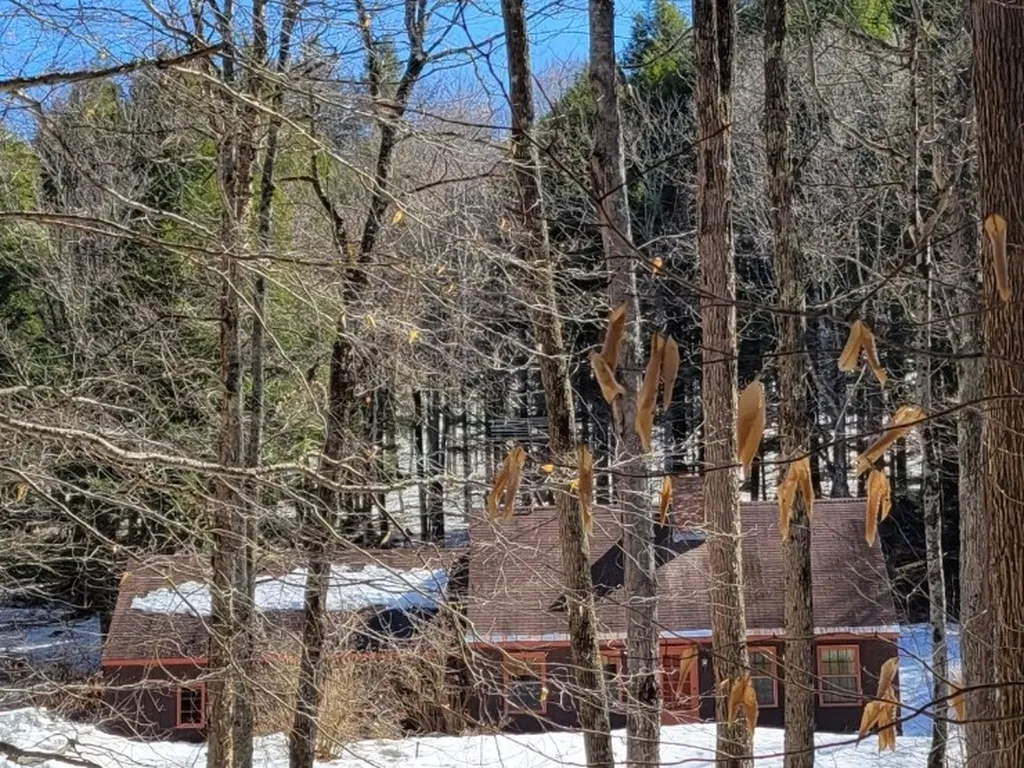 76 Rudge Road Pomfret VT 05067