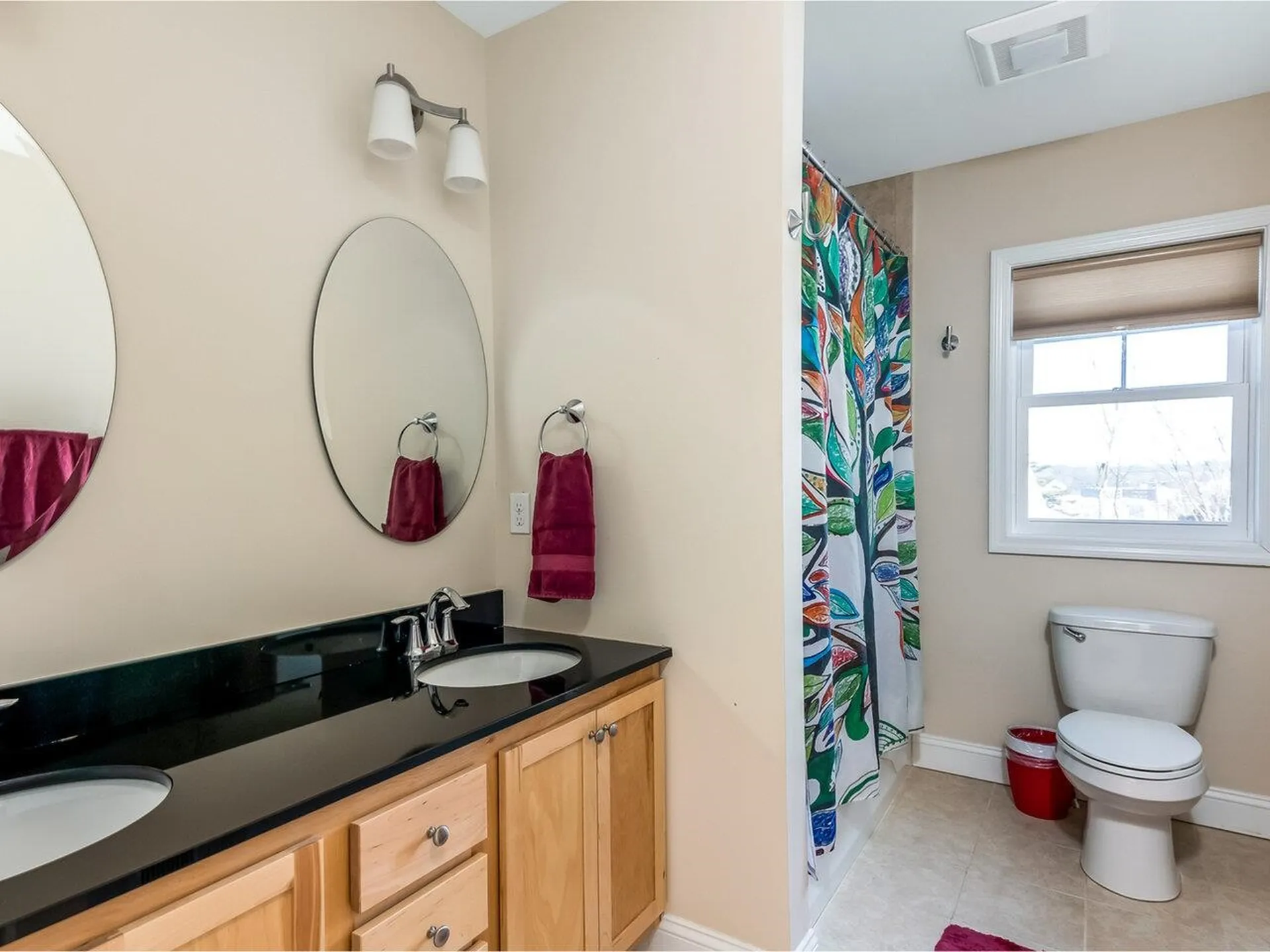 366 Colchester Avenue Burlington VT 05401-1433