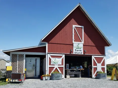 64 Aiken Street South Burlington VT 05403