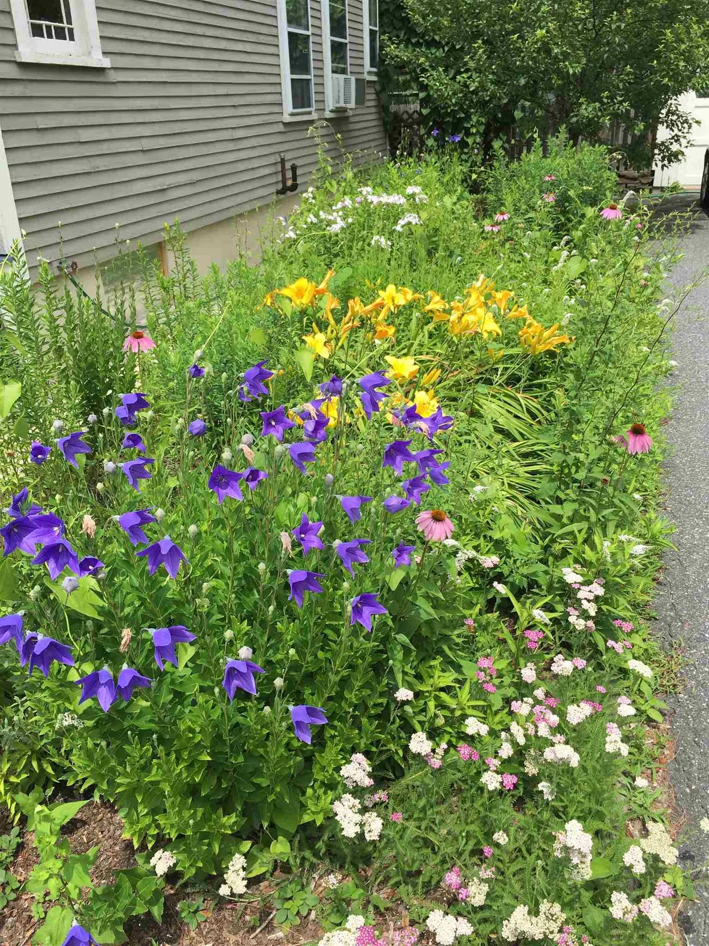 13 Highland Avenue Lebanon NH 03784