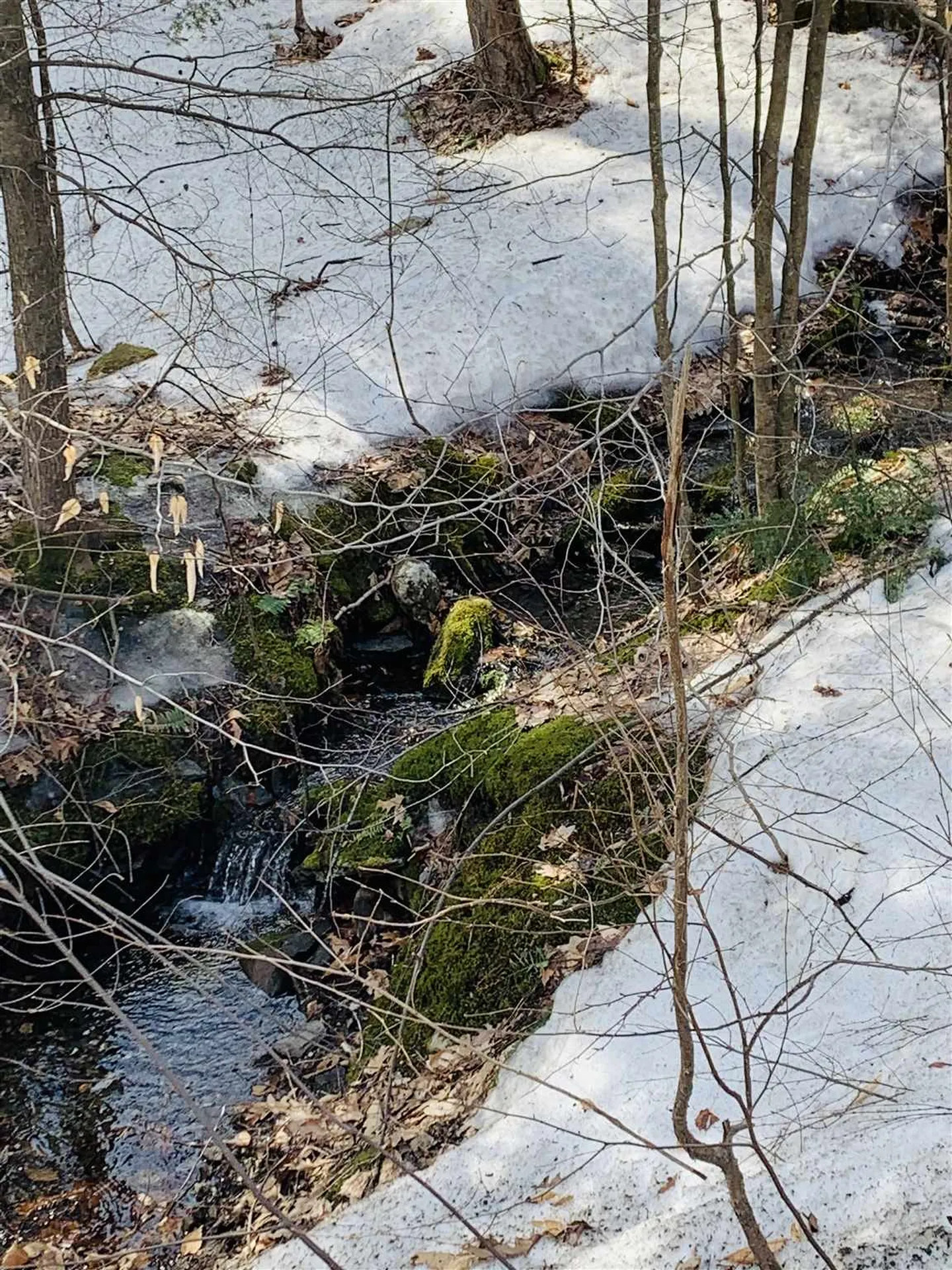 00 Kurn Hattin Road Westminster VT 05158