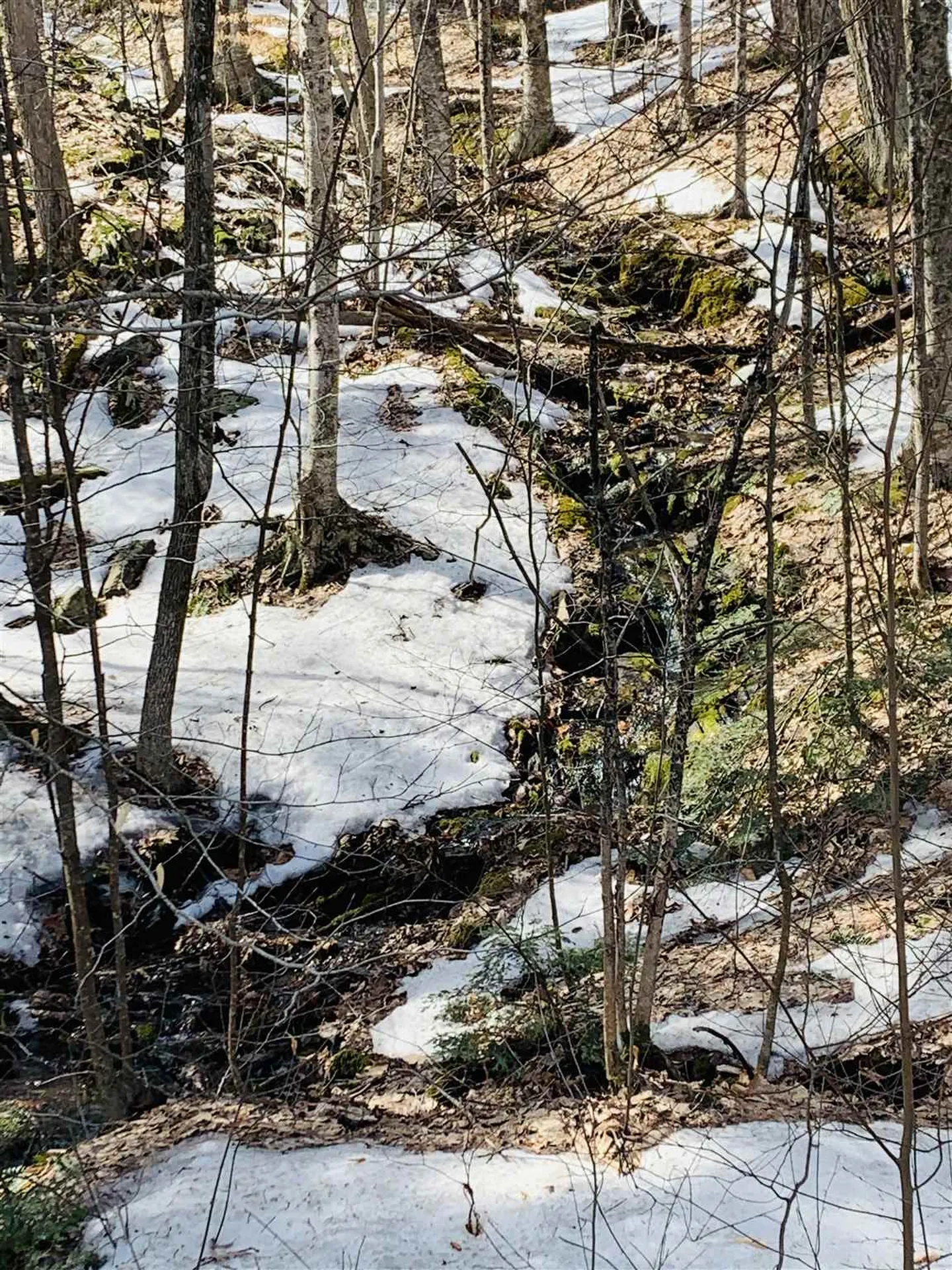 00 Kurn Hattin Road Westminster VT 05158
