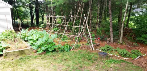 29 Chase Brook Circle Litchfield NH 03052