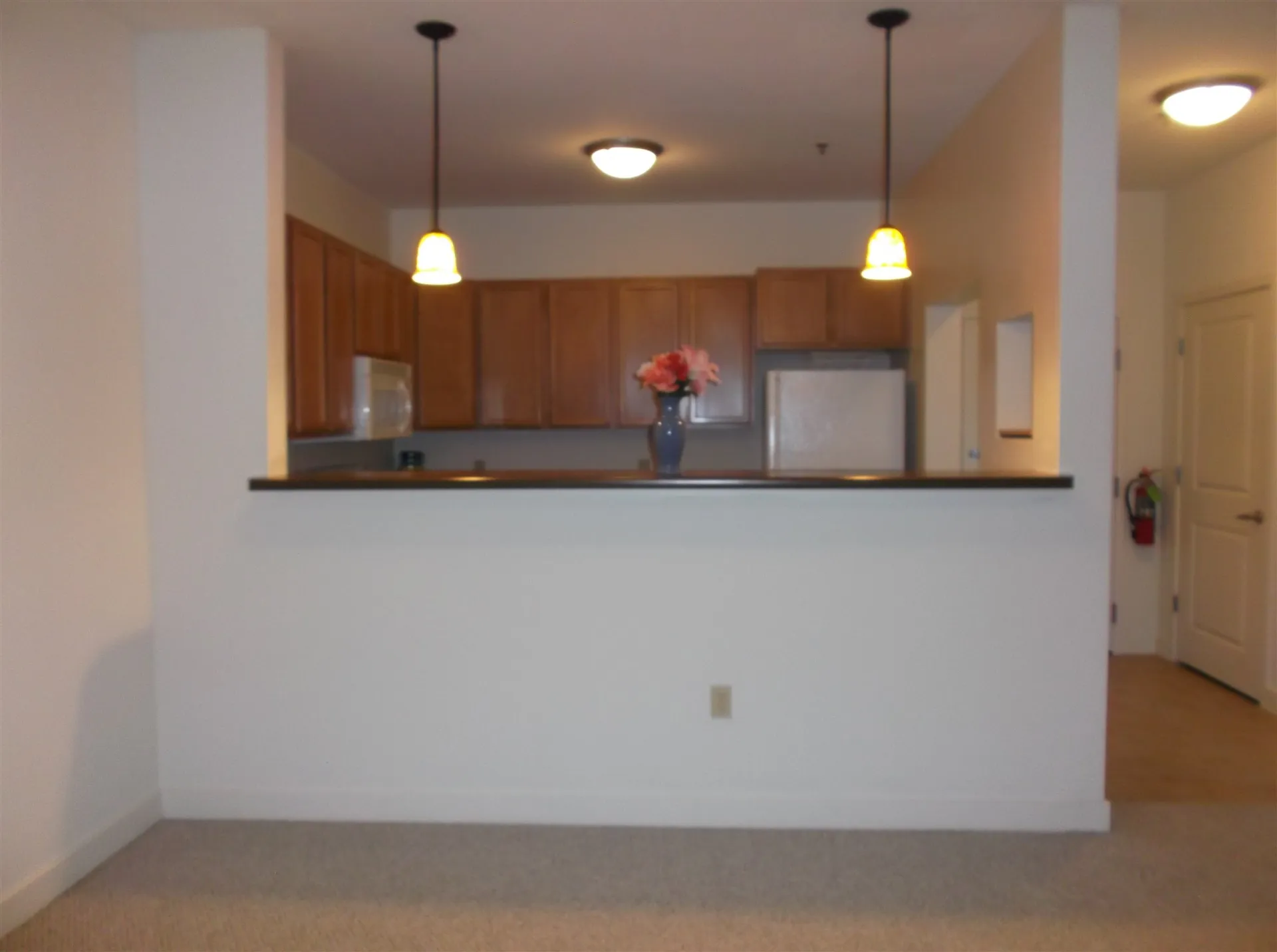 370-118 Farrell Drive South Burlington VT 05403