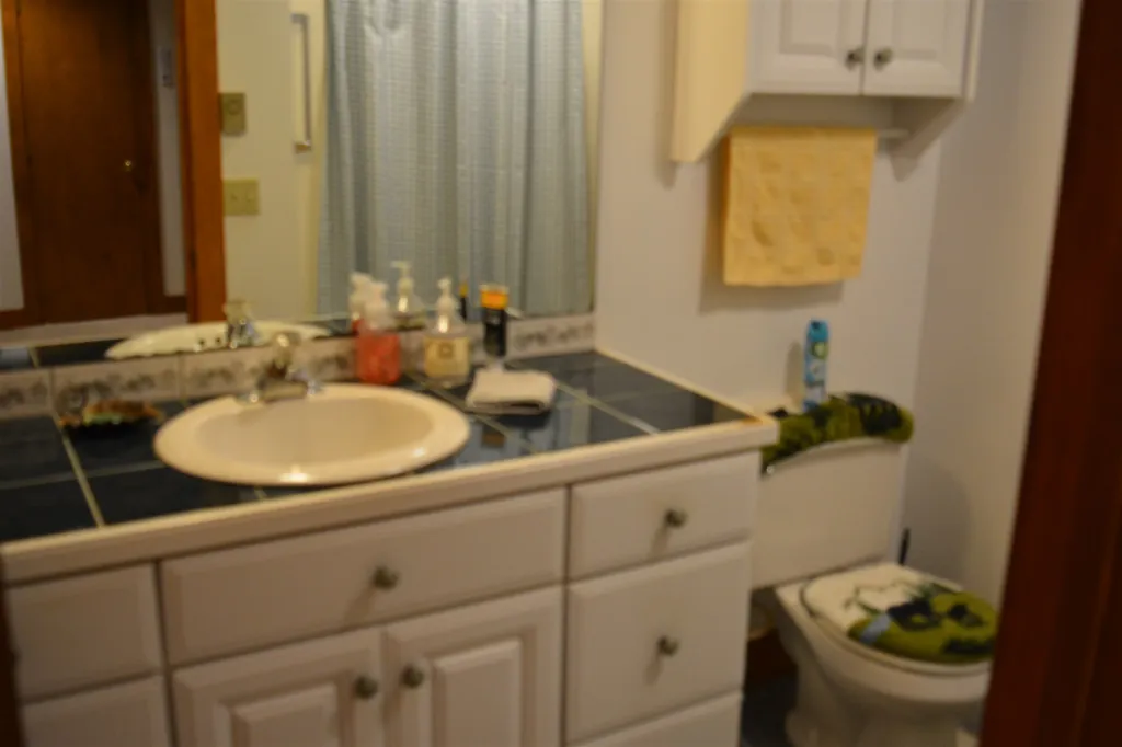 7 Pioneer Point Grantham NH 03753