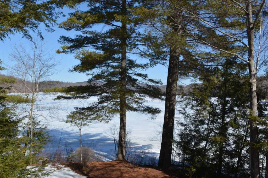 7 Pioneer Point Grantham NH 03753