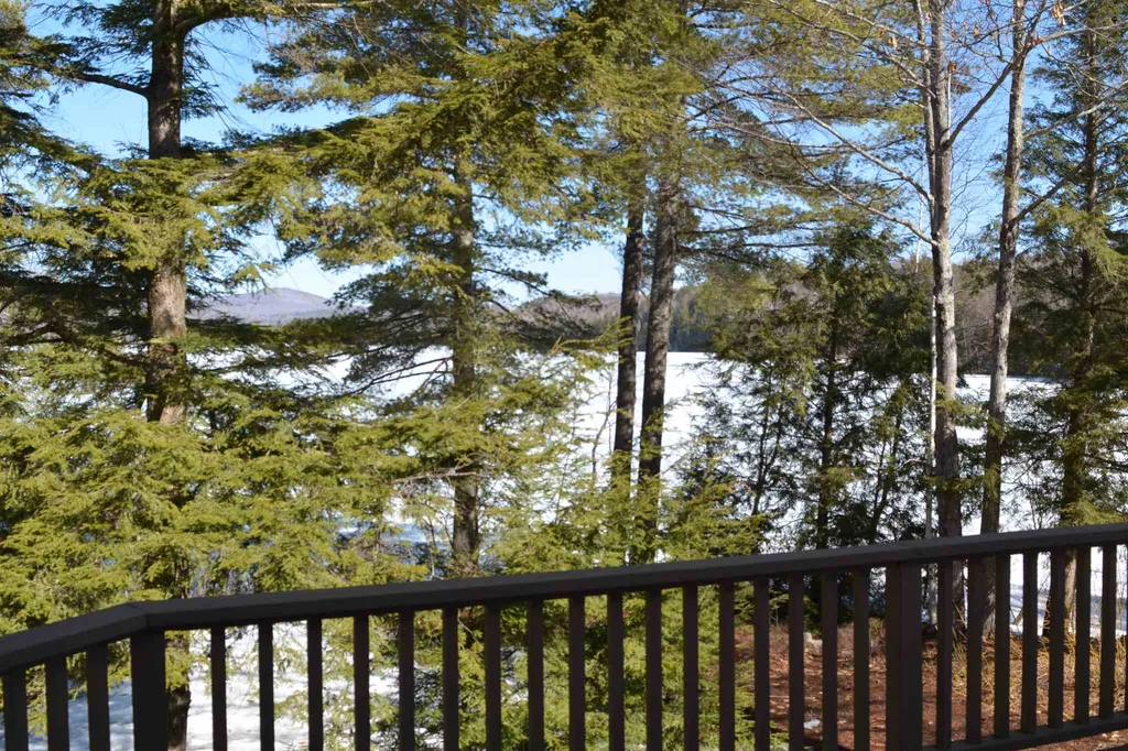 7 Pioneer Point Grantham NH 03753