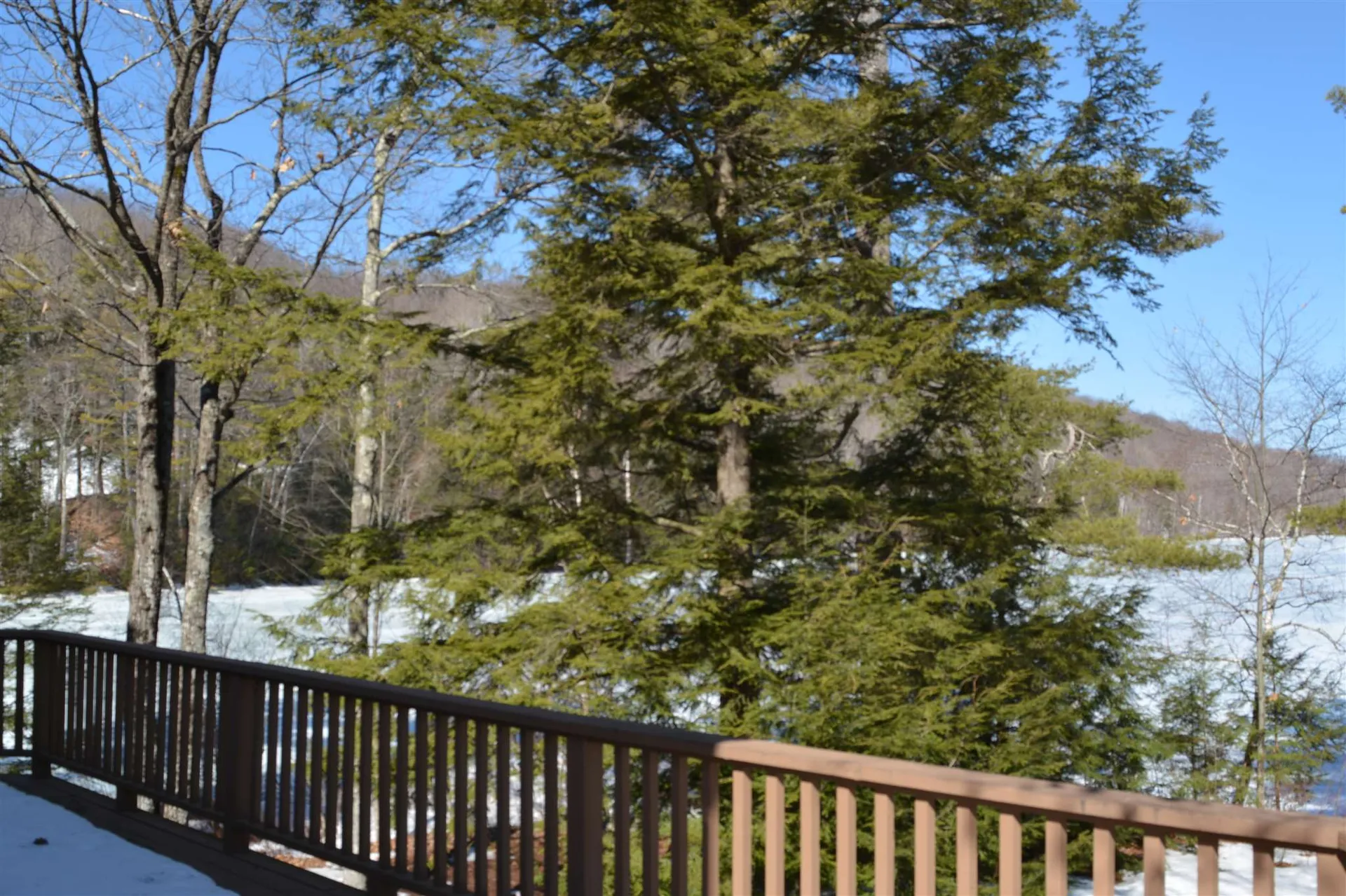 7 Pioneer Point Grantham NH 03753