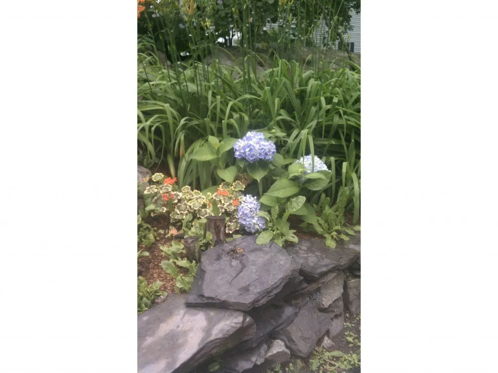 28 Hough Street Lebanon NH 03766