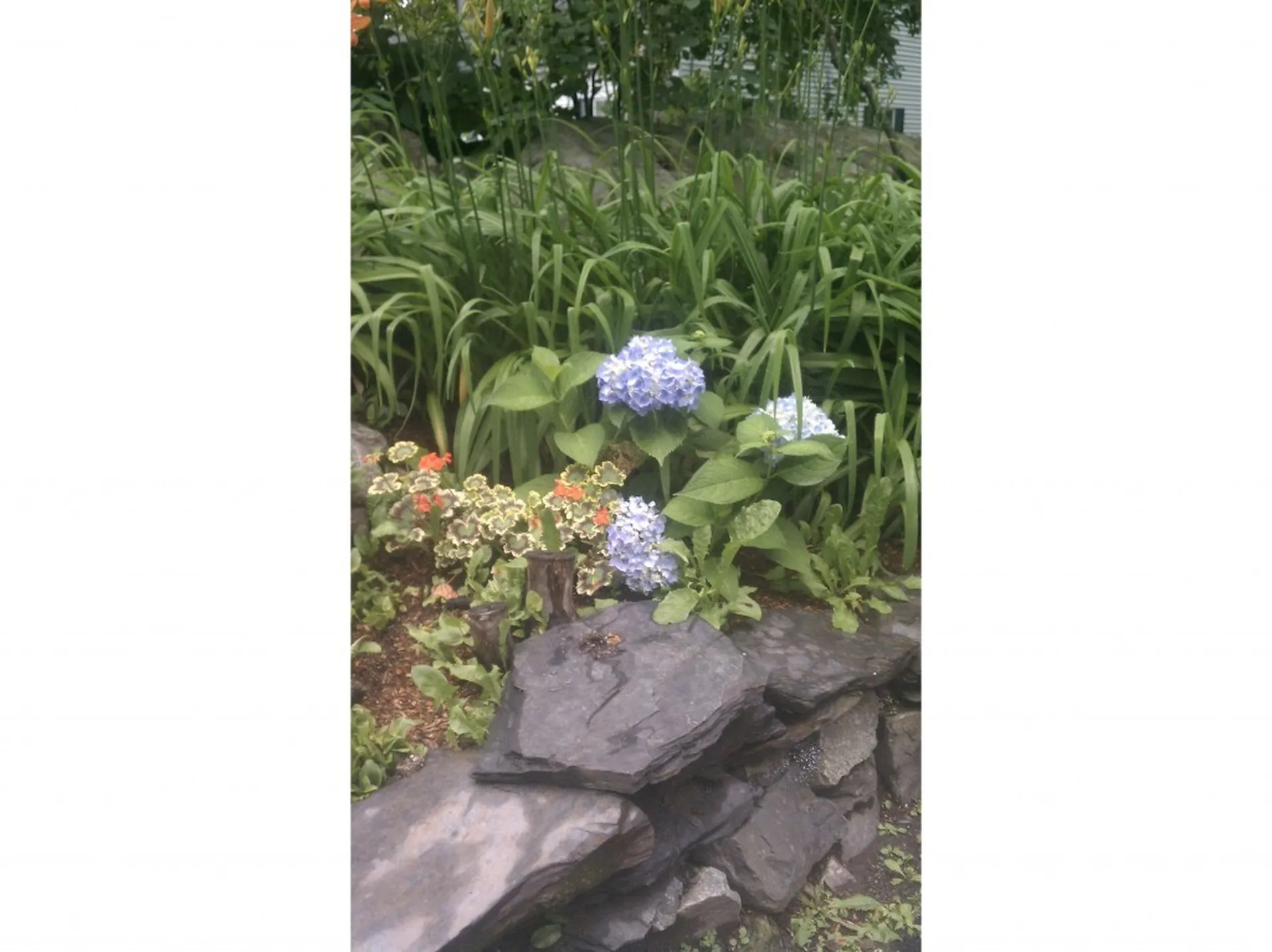 28 Hough Street Lebanon NH 03766