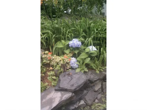 28 Hough Street Lebanon NH 03766