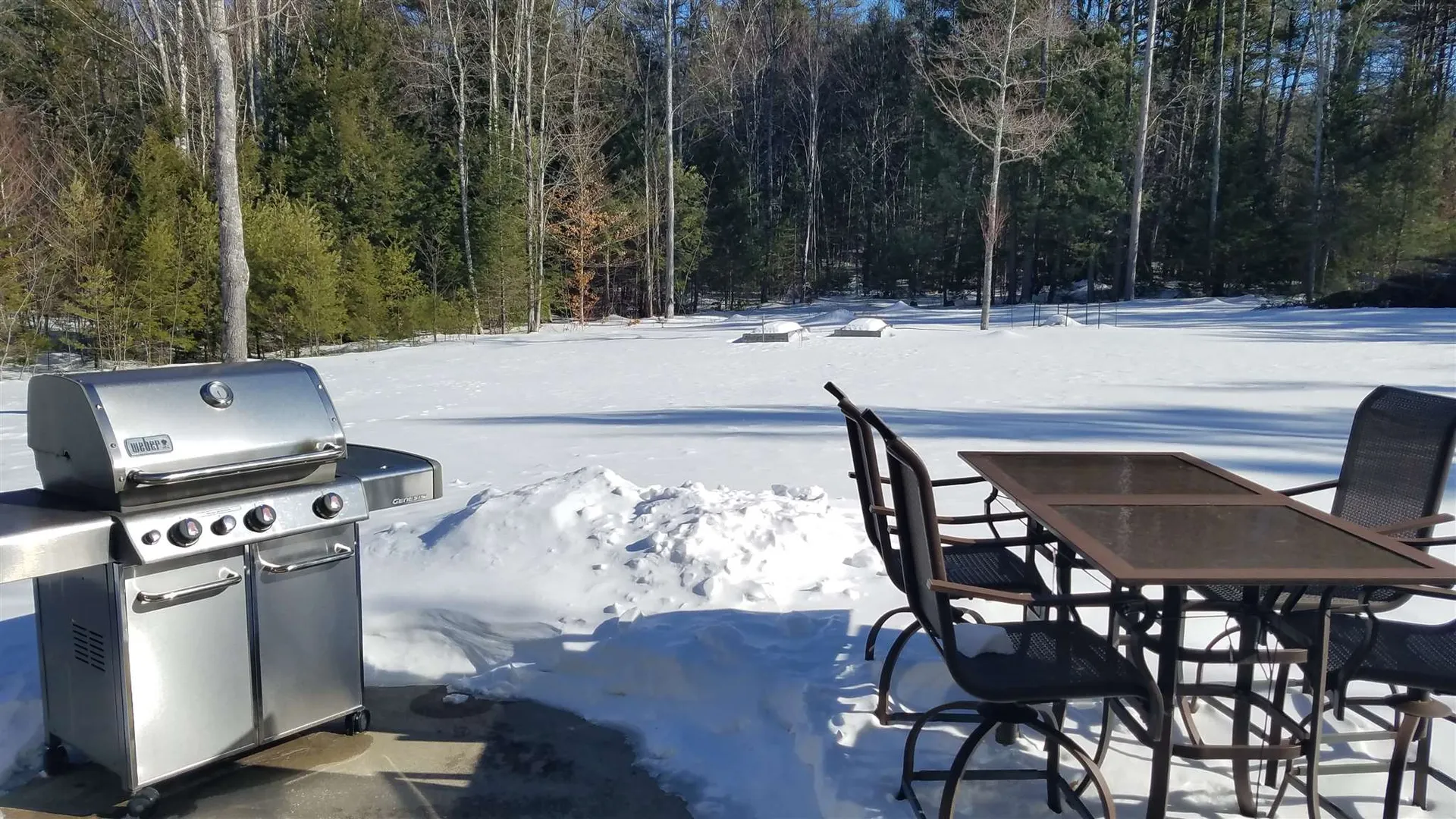 104 Champagne Circle Campton NH 03223