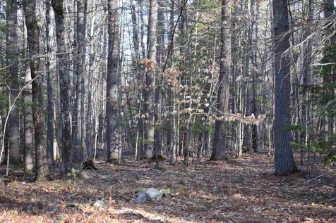 Shaker Jerry Road Moultonborough NH 03254