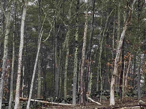 4 Chapin Road Windham NH 03087