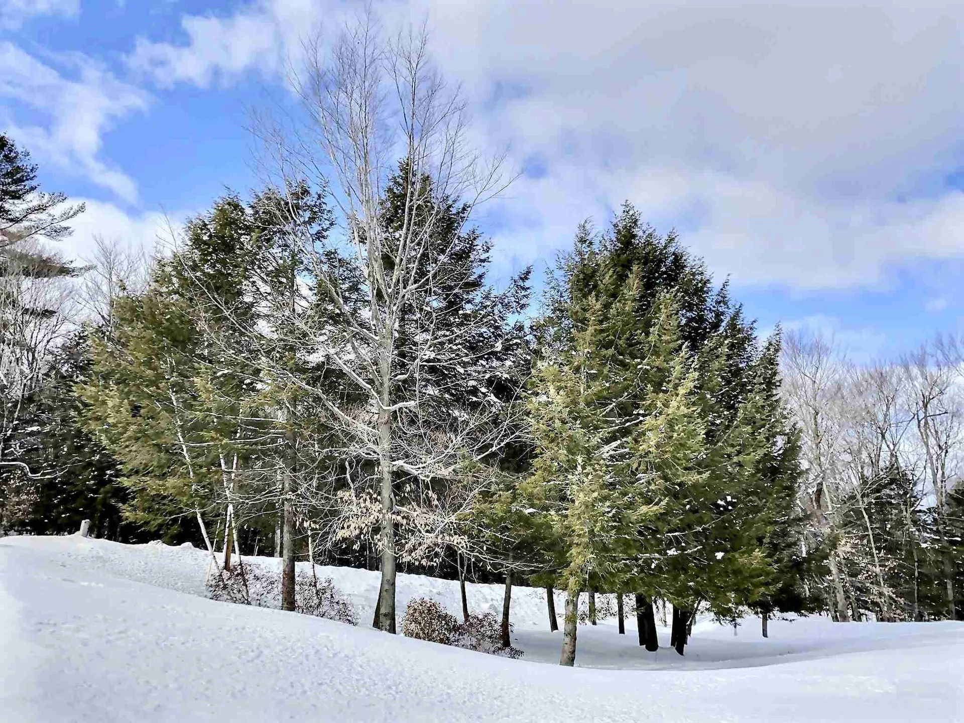 226 Hall Farm Road New London NH 03257