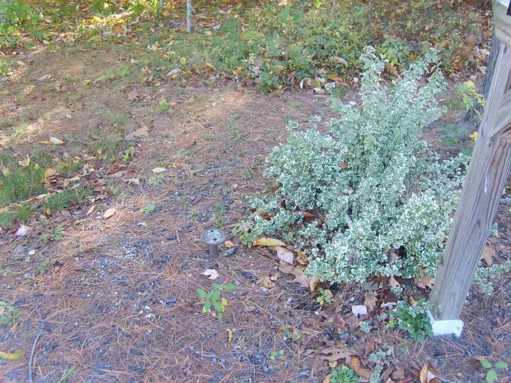 Lot 4 N Woodard Way Castleton VT 05735