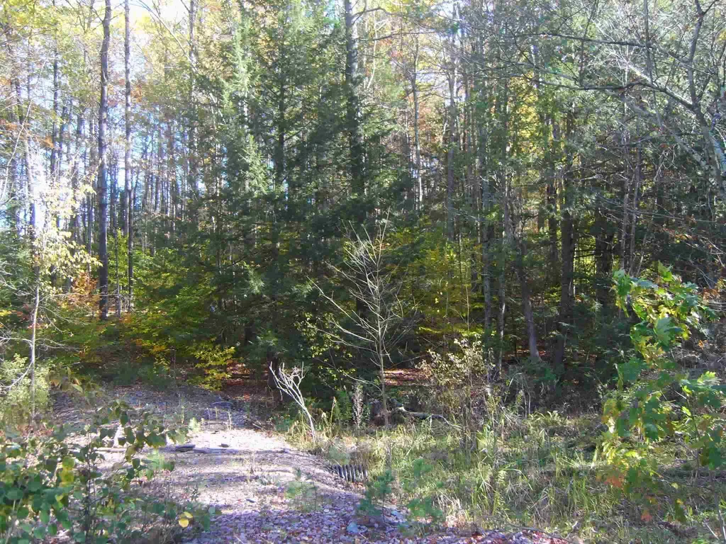 Lot 4 N Woodard Way Castleton VT 05735