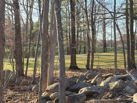 29 Old Manchester Road Candia NH 03034